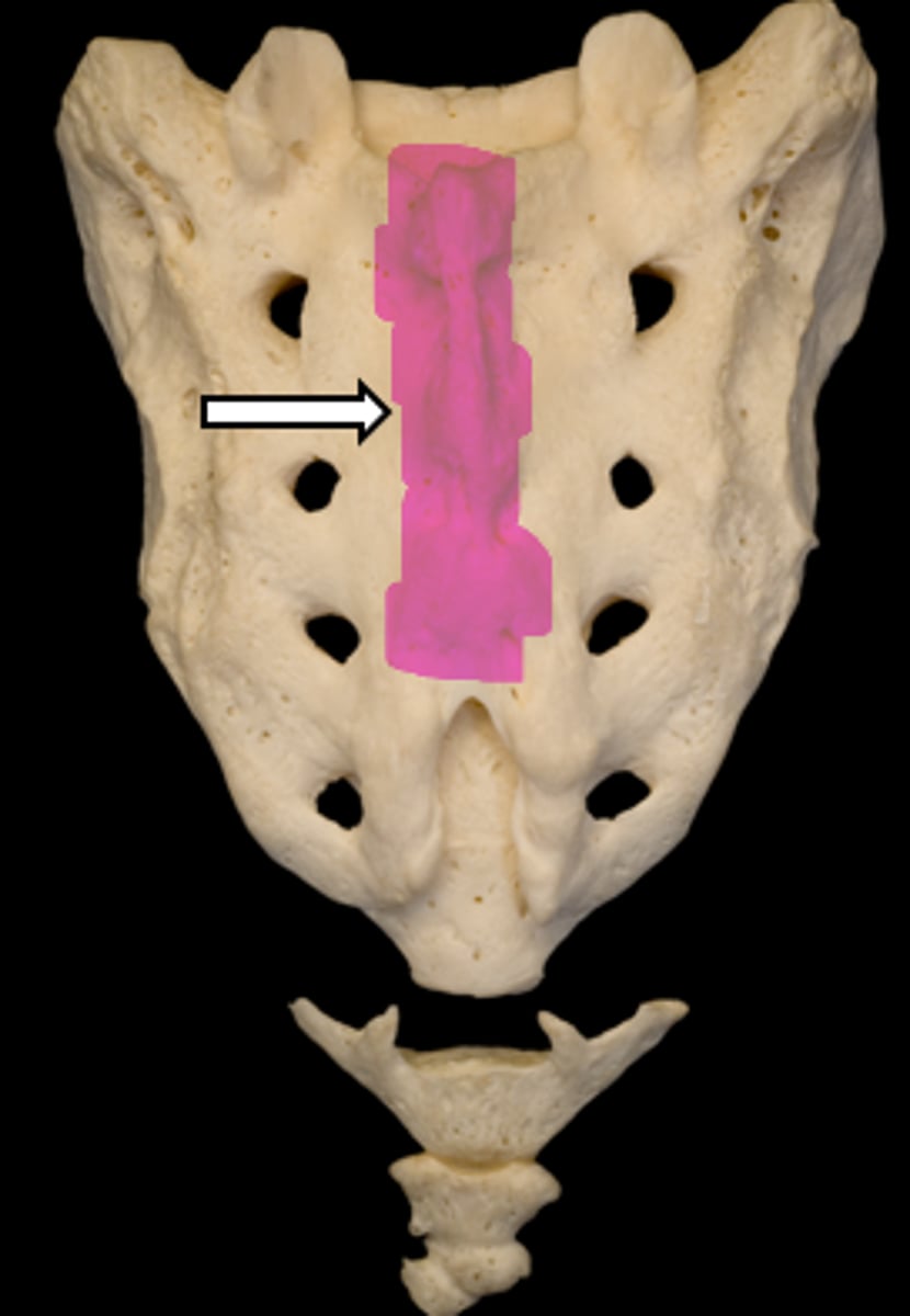 <p>name the part</p>