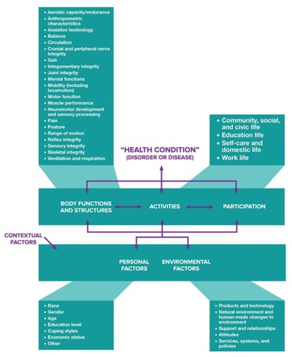 <p>It provides a framework for understanding and addressing health conditions in a holistic manner.</p>