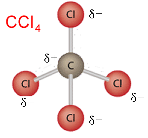 <p>If a molecule has multiple polar bonds but is <strong>symmetrical</strong>, the delta charges will cancel each other out as there will be no one area of overall positive or negative charge, eg. CCl4</p>