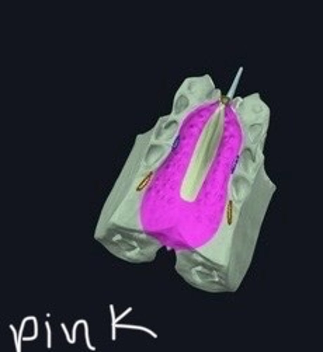 <p>Thin bony plates with olfactory foramina.</p>