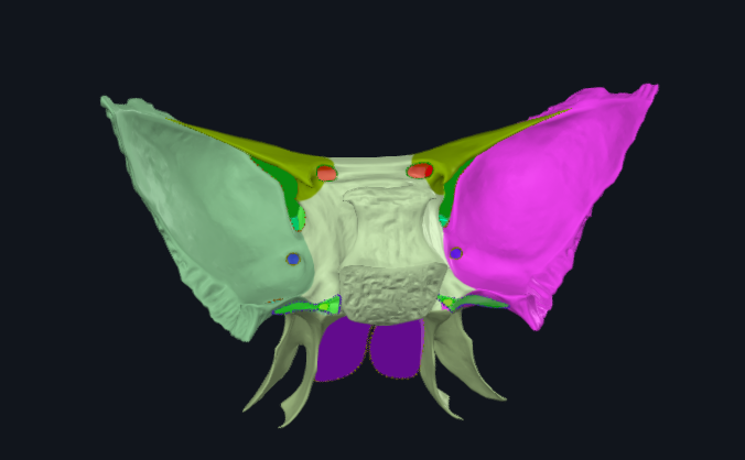 <p>What is highlighted in pink</p>