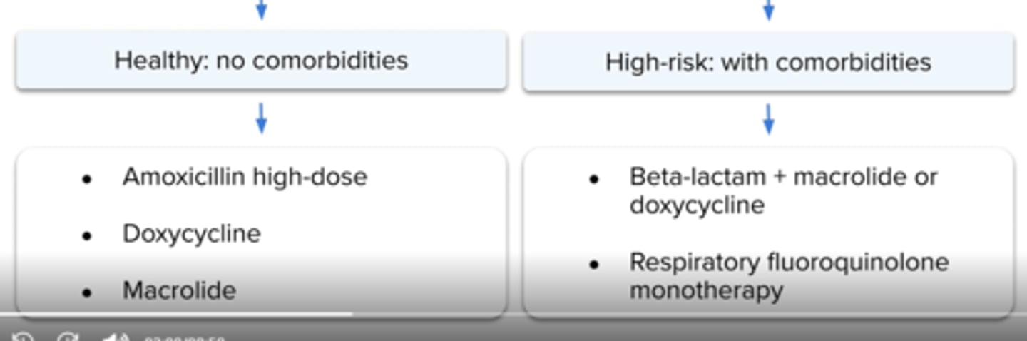 <p>Beta lactam + macrolide or doxycycline (amoxicillin/clavulanate or cephalosporin (e.g., cefpodozime, cefuroxime) plus macrolide or doxycyline</p><p>or</p><p>Respiratory quinolone monotherapy (moxifloxacin, gemifloxacin or levofloxacin)</p>