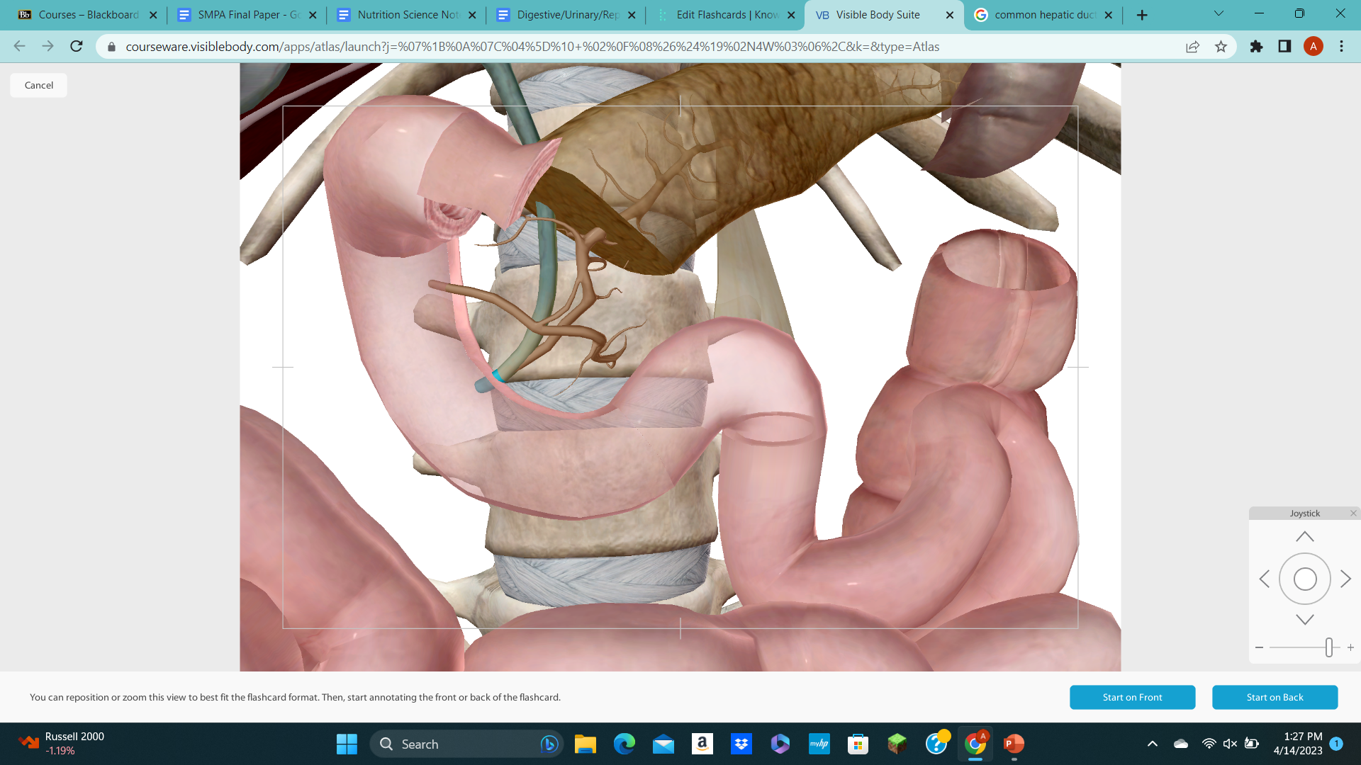 knowt flashcard image