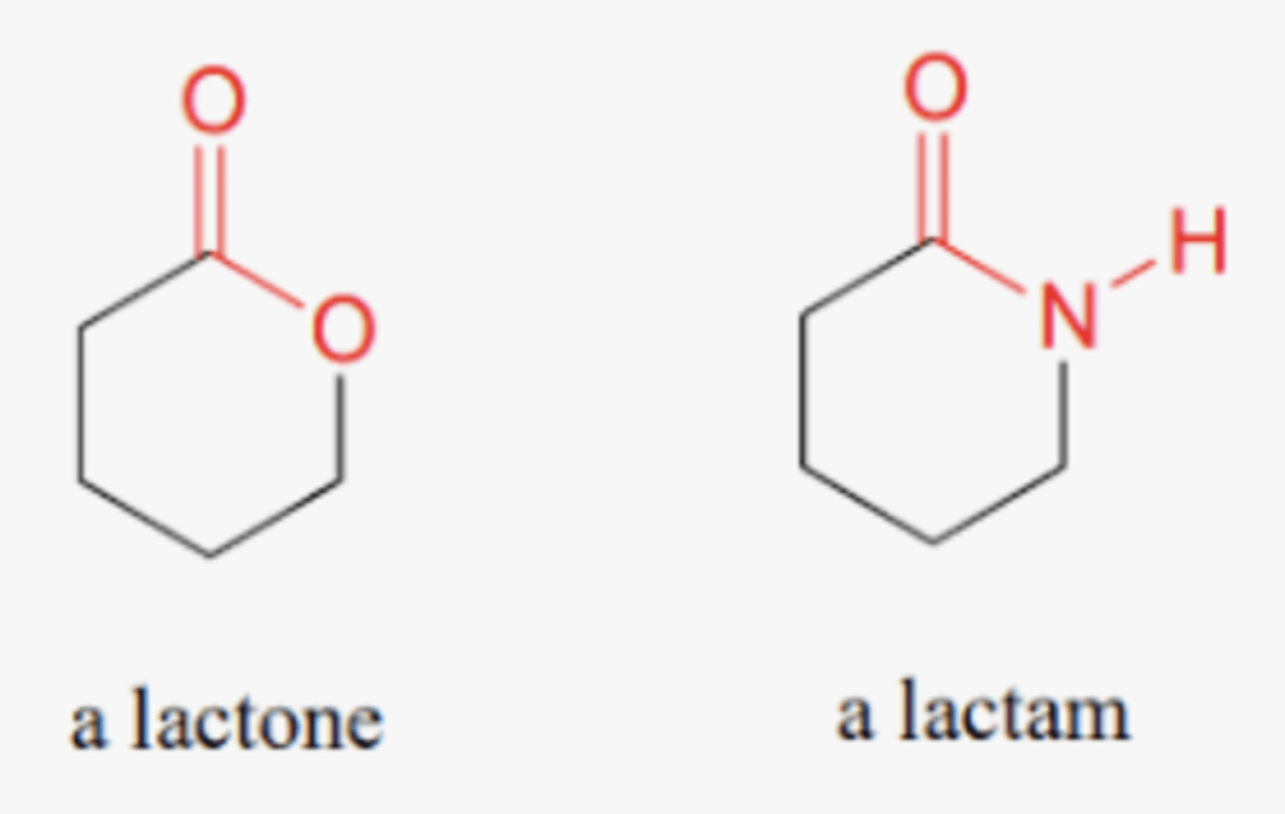 <p>lactone- cyclic ester</p><p>lactam- cyclic amide</p>