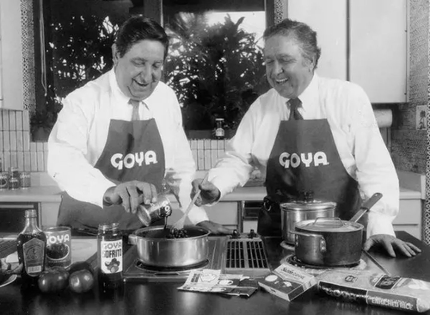 <p>Father founded Goya Foods®, distributor of Hispanic foods</p><p>under Joseph's direction Goya Foods® became the largest U.S. Hispanic-owned food</p><p>distribution company in the United States</p>