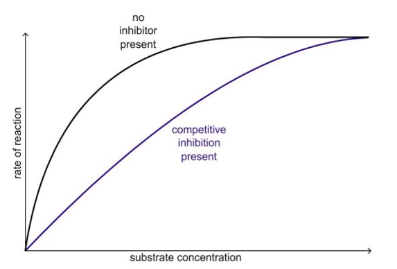 <p>overcome by increasing substrate conc.</p>