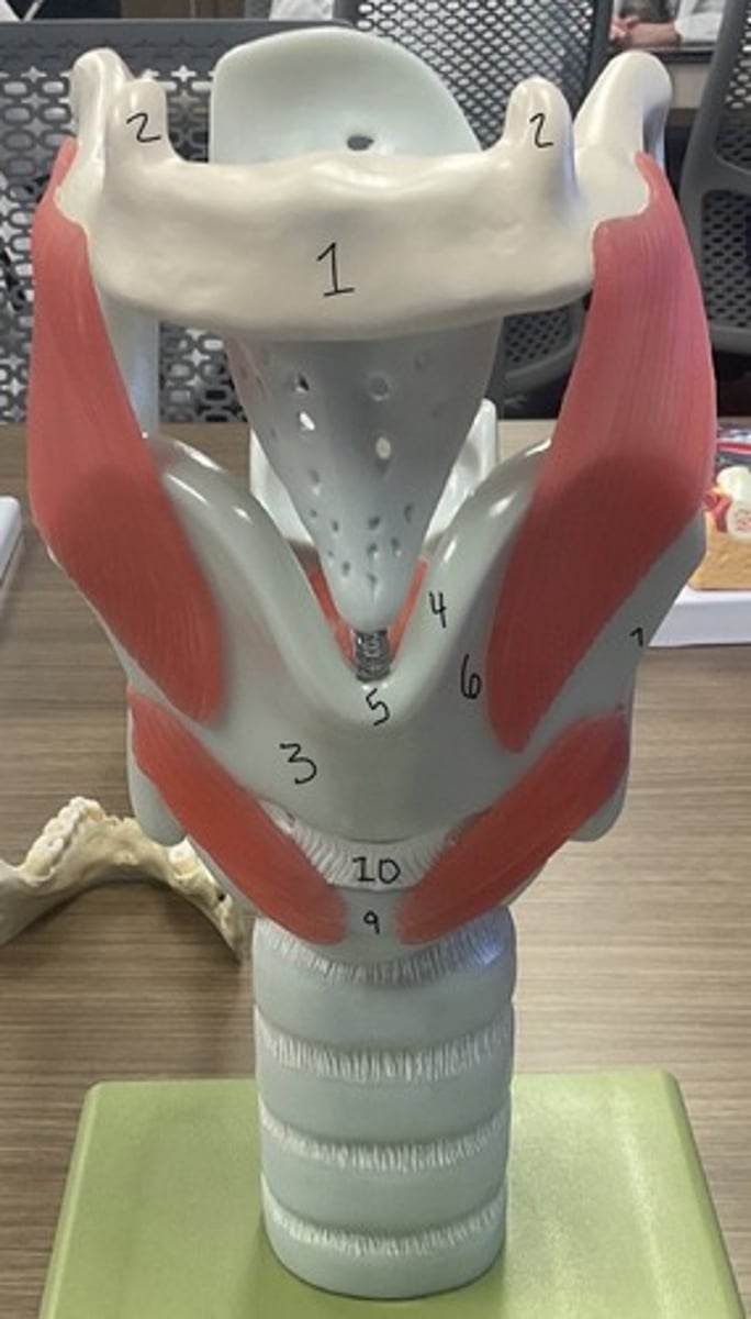 <p>What is structure 1?</p>