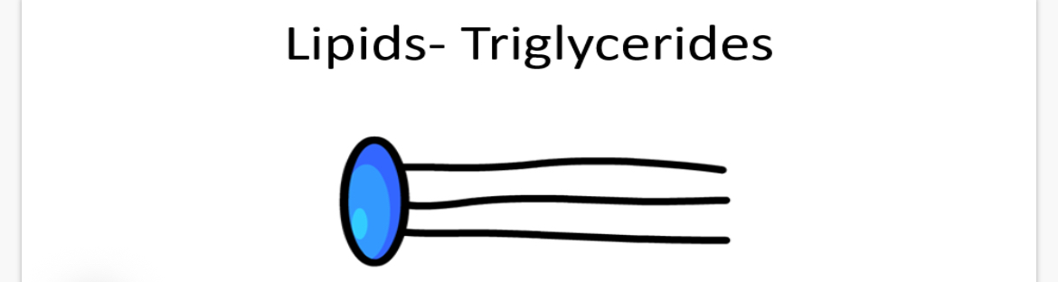 <p>what are triglycerides made of?</p><ol start="2"><li><p>How are they formed? (3 condensation reactions)</p></li><li><p>In lipids, The R groups are fatty acids and they can either be saturated or …?</p></li></ol><p></p>