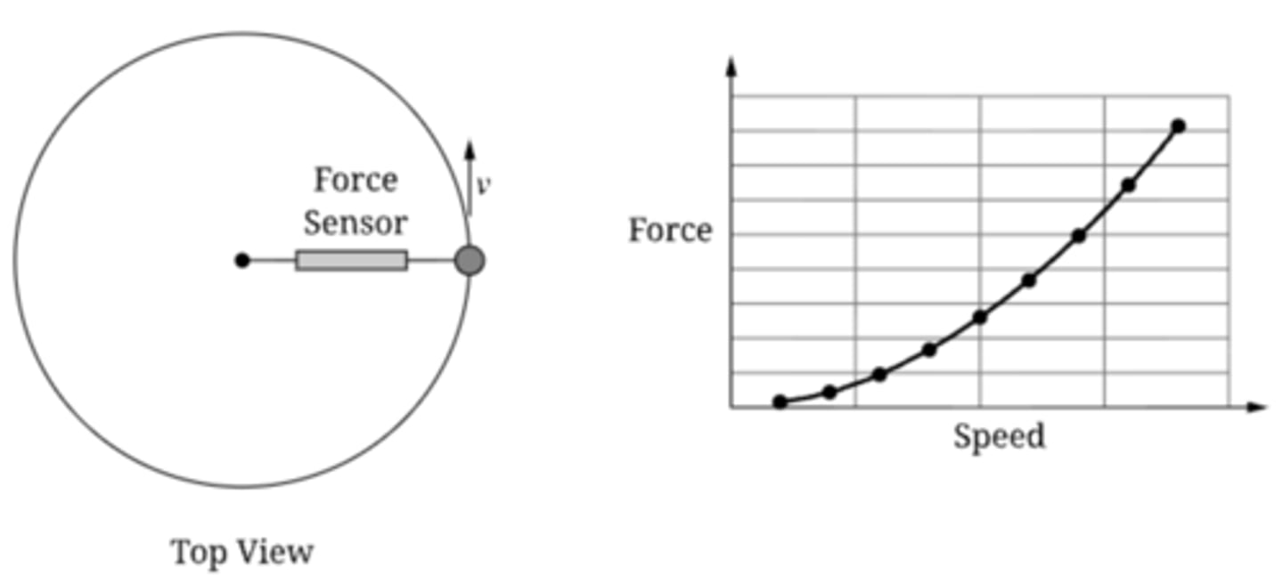 <p>One end of a string is held in place and the other end of the string is attached to a disk. The disk can be set in motion and travel in a circular path with constant speed along a horizontal surface. A force sensor with negligible mass is attached to the string, as shown in the figure. There is negligible friction between both the disk and force sensor and the surface. A student sketches the graph shown of the force measured by the force sensor for several values of the speed. Is the student's sketch accurate? Why or why not?</p><p>A) Yes, because the centripetal force increases proportionally with the speed.</p><p>B) Yes, because centripetal force increases proportional to the square of the speed.</p><p>C) No, because the force should increase linearly with speed.</p><p>D) No, because the force would decrease as speed increases.</p>
