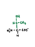 <p>A polar amino acid with a hydroxyethyl side chain.</p>