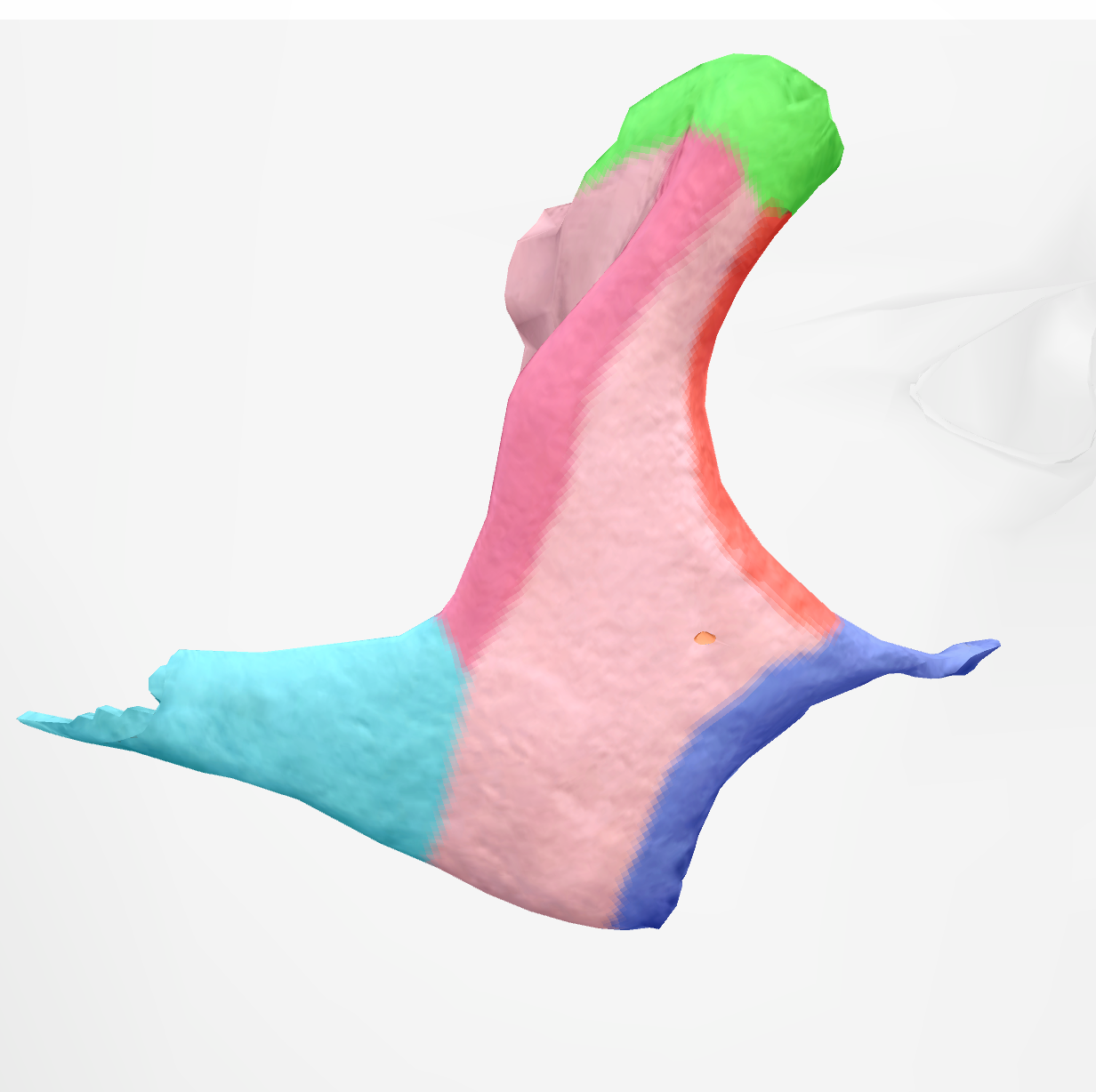 <p>corner that connects with temporal bone on zygomatic bone </p>