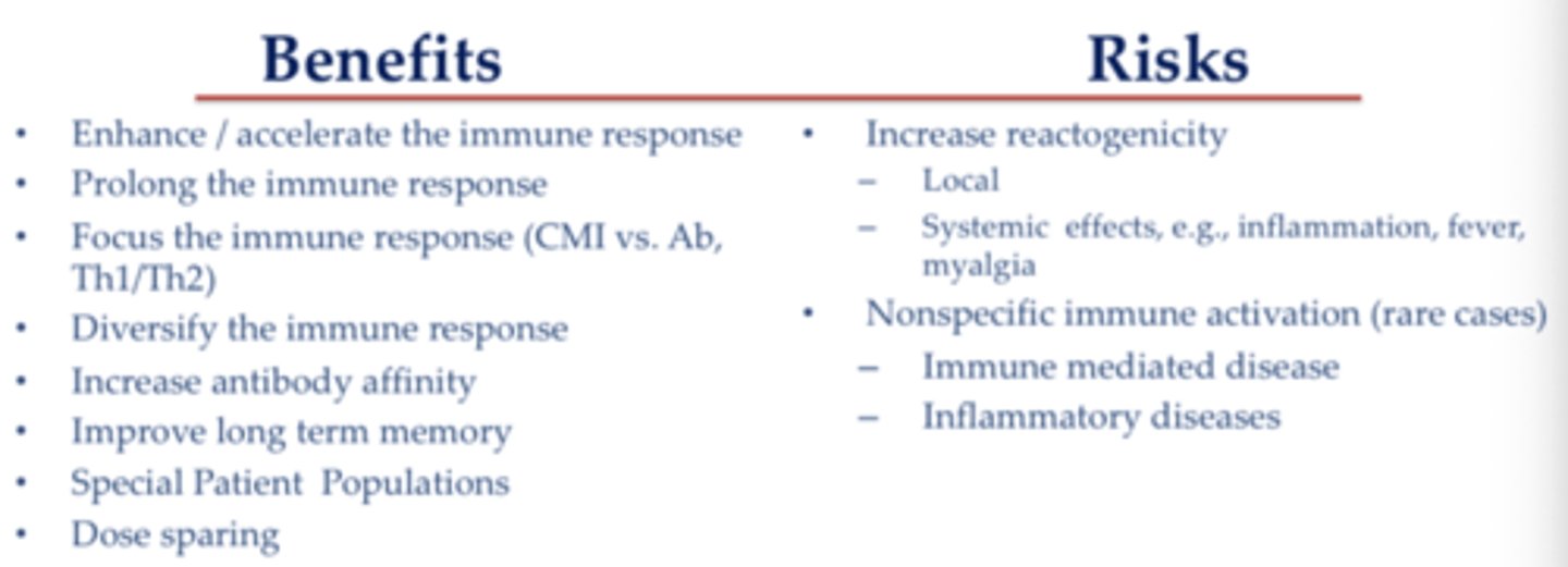 <p>1. increases reactogenicity locally or systemically</p><p>2. nonspecific immune activation (rare)</p><p>- immune mediated disease</p><p>- inflammatory disease</p>