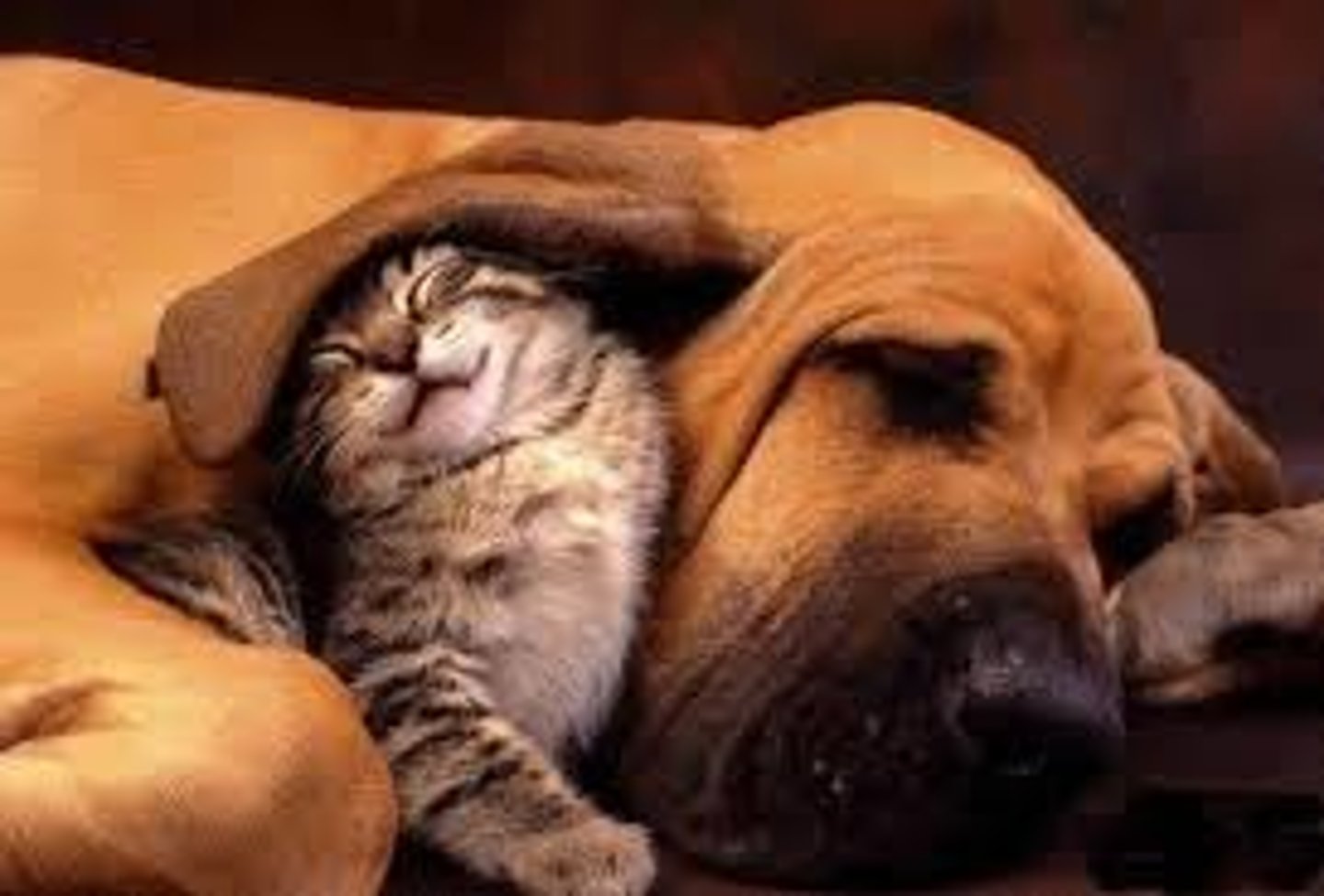 <p>ellos (llevarse bien)</p>