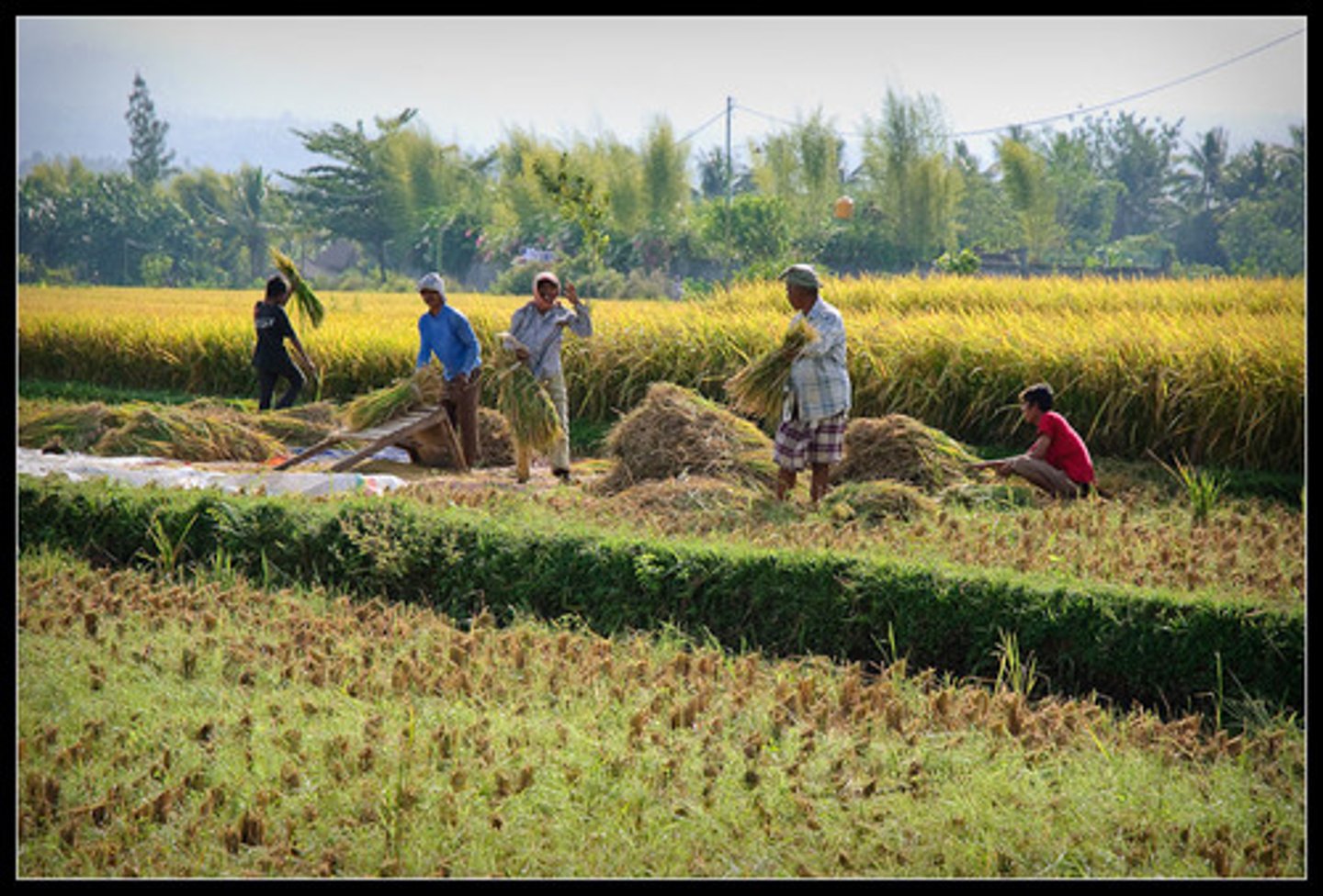 <p>lots of effort is put into making a piece of land as profitable/productive as possible.</p>