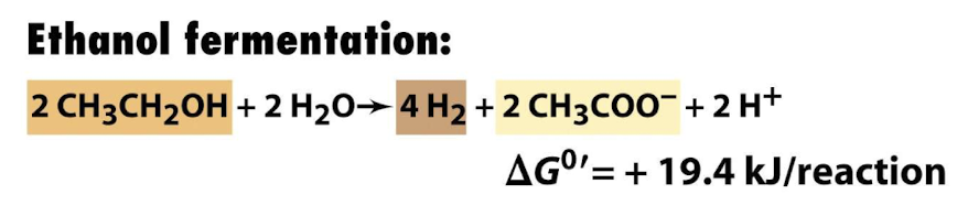 <p><strong>It has a positive change in standard free energy </strong>(+ 19.4 kJ/ reaction) meaning<strong> it requires energy input to proceed and is not spontaneous</strong> under standard conditions, bacteria have not been shown to do this in pure cultures</p>