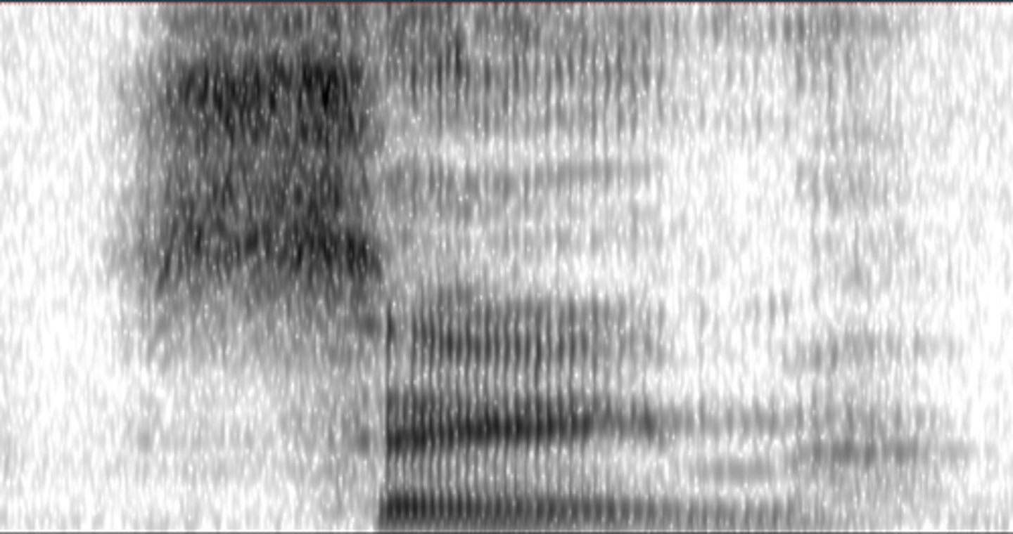 <p>Select the word that matches the spectrogram best.</p>