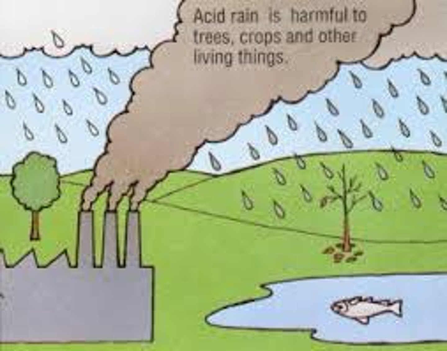 <p>acid rain</p>