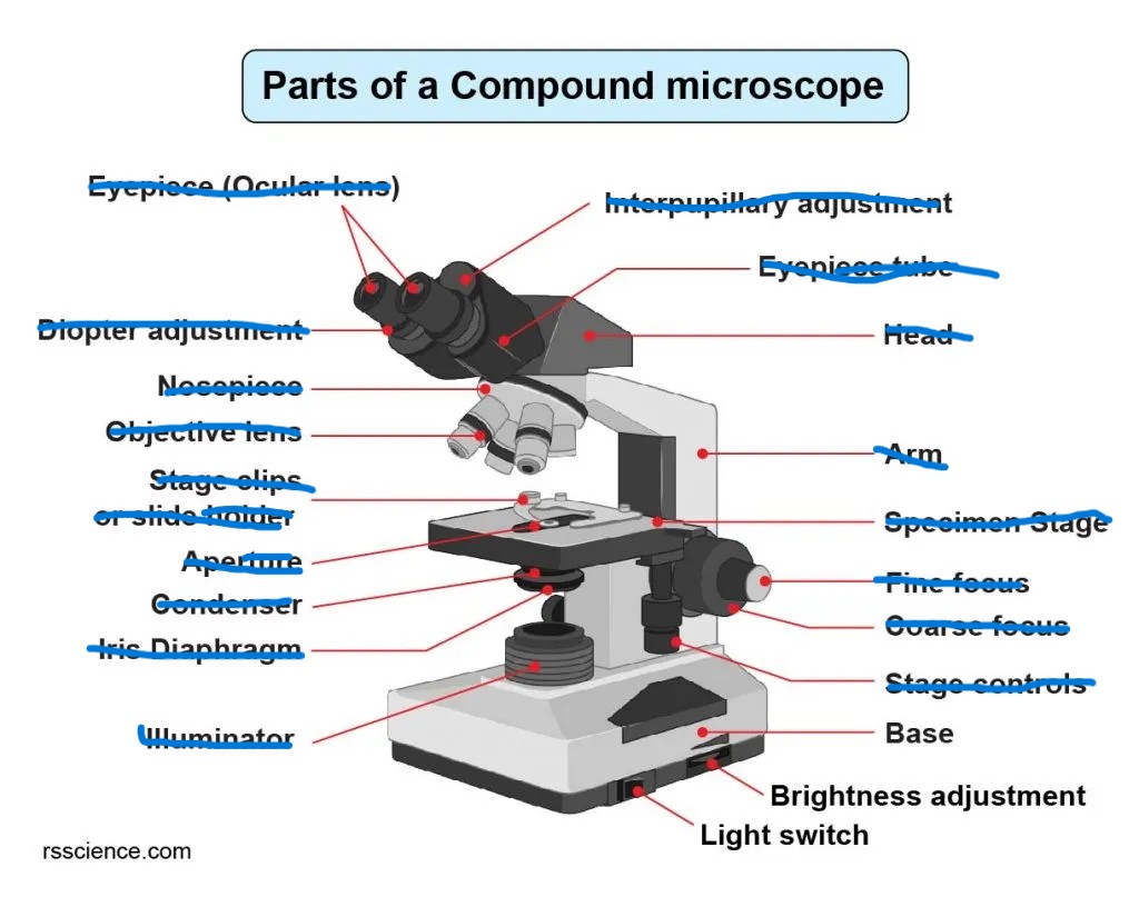 <p>A place where the light adjuster and the power switch is underneath. This is the bottom of the microscope</p>