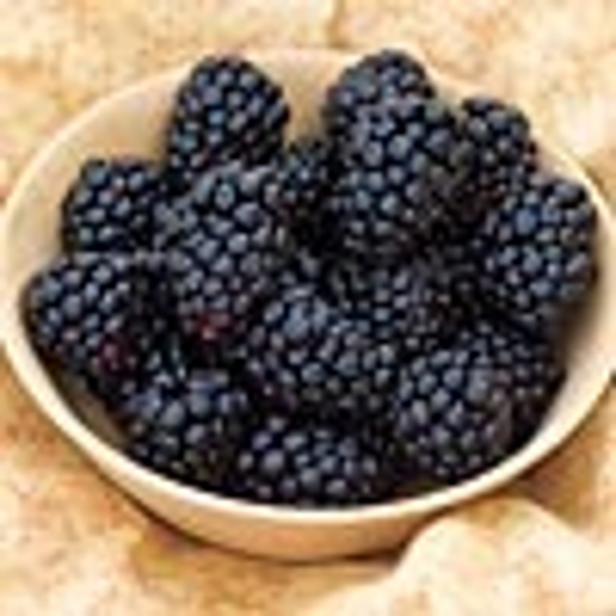 <p>(n) mâm sôi đen</p>