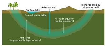 <p>a source of water layered between impermeable rock</p>