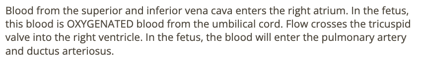 <p>a) SVC</p>