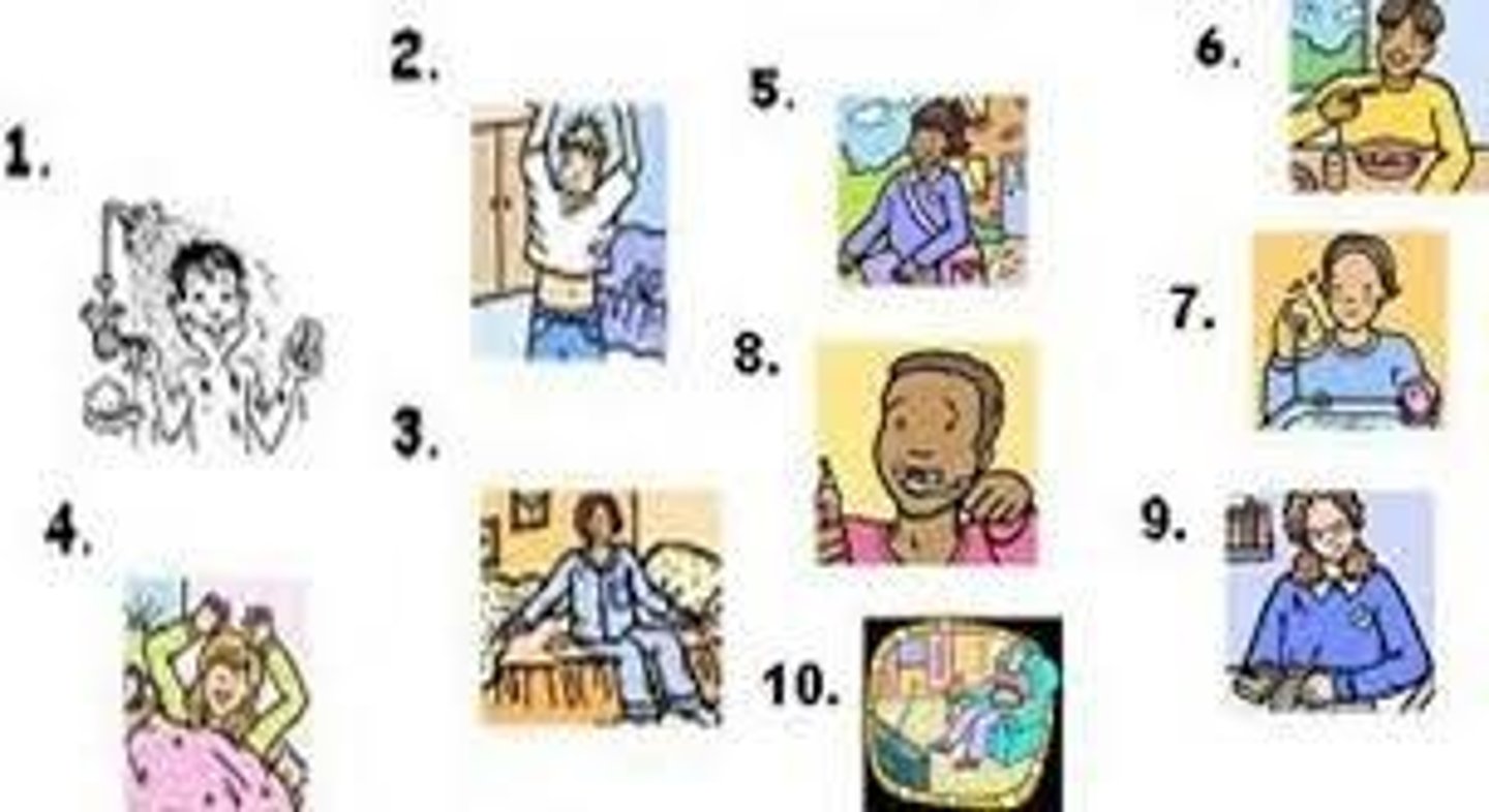 <p>la rutina diaria</p>