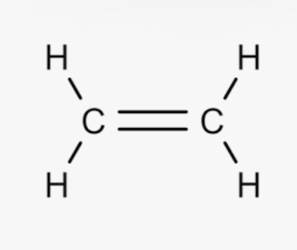 <p>Alkene pka?</p>