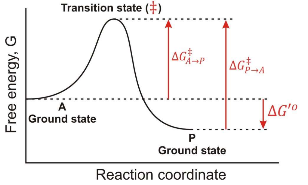 <p>no, absolute scale (K)</p>