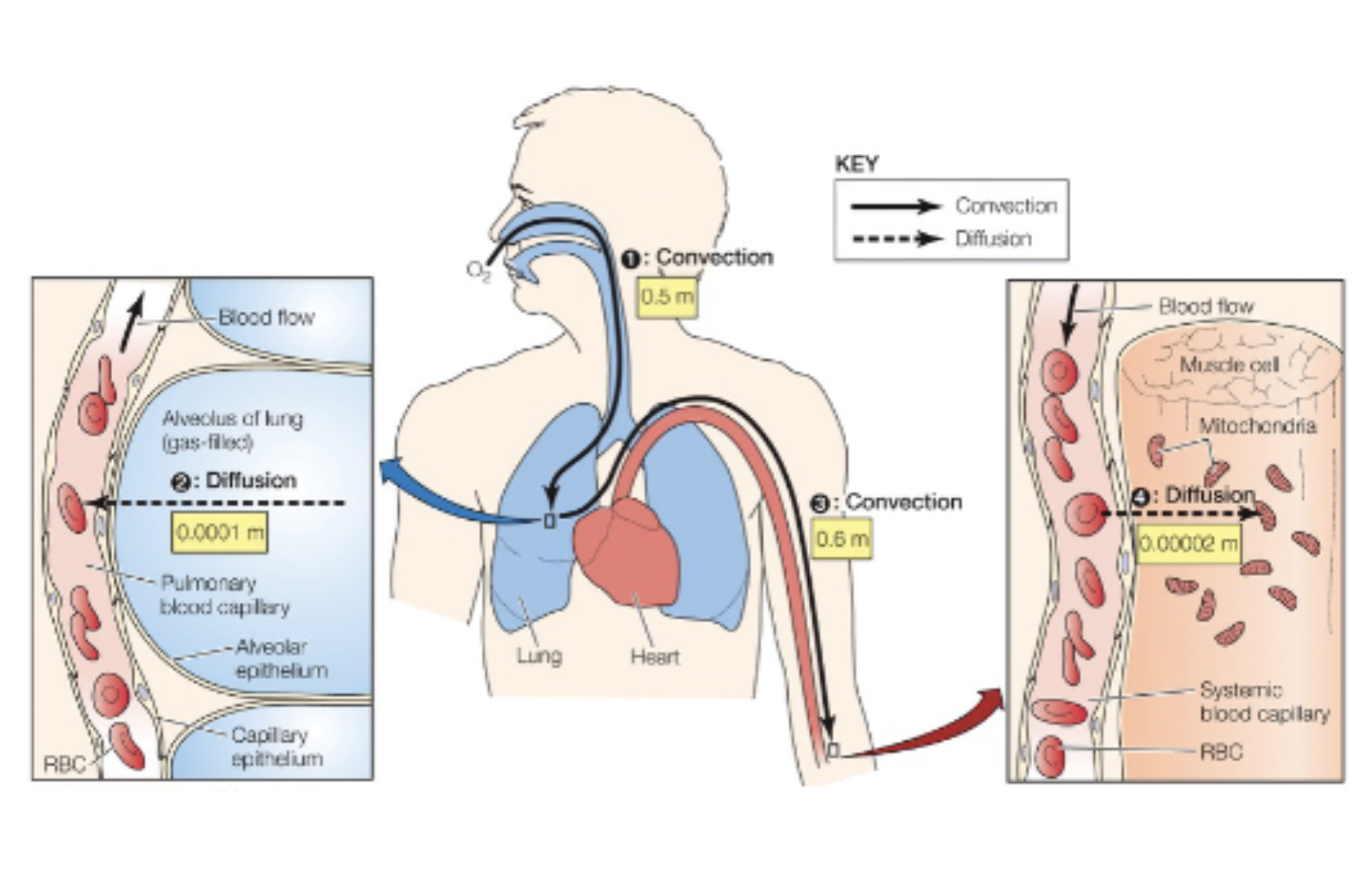 <p>what is happening in this picture?</p>
