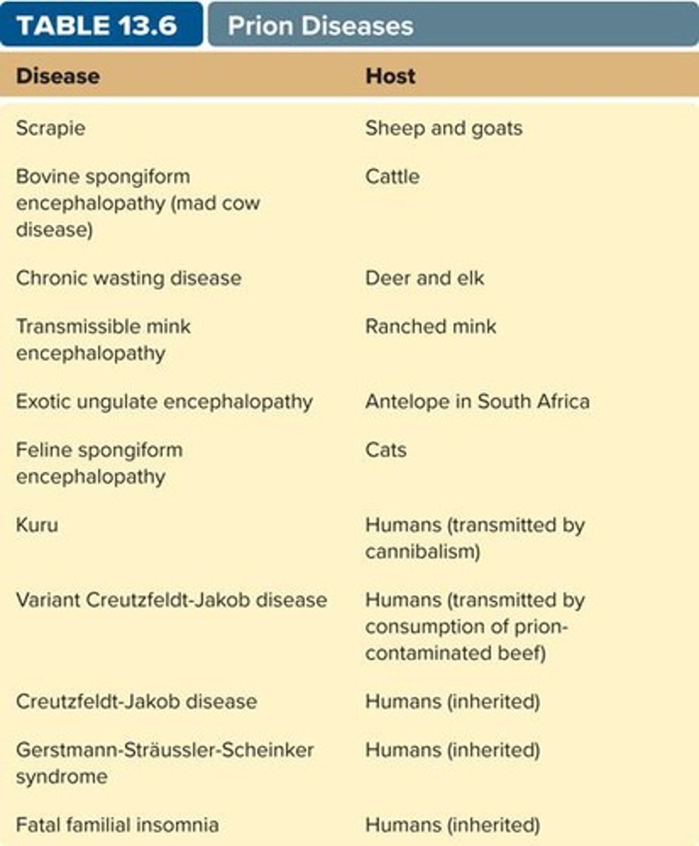 <p>Infectious agents composed only of protein, causing slow, fatal diseases.</p>