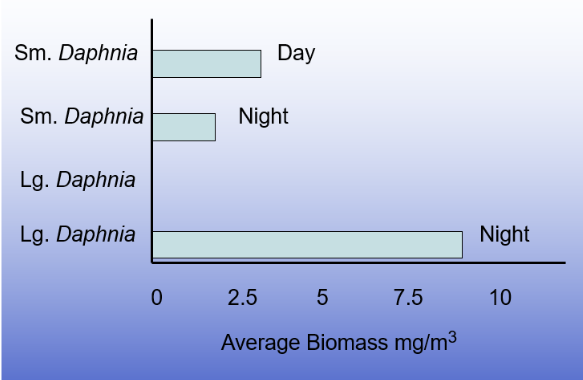 <p>size in the water column graph</p>