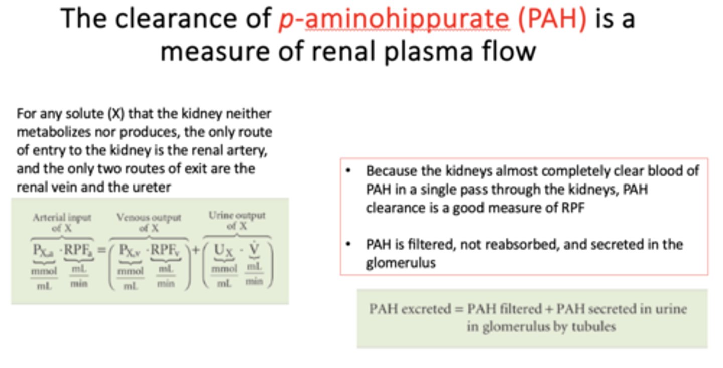 <p>Renal Plasma Flow (RPF)</p>