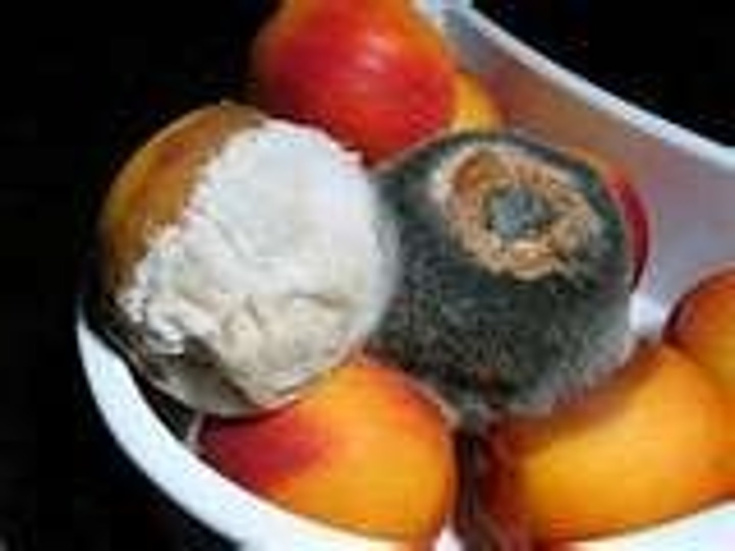 <p>bedierf / bedierven</p><p>heeft bedorven</p>