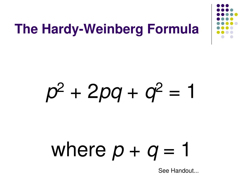 <p>p^2 + 2 pq + q^2 = 1</p><p>p+q=1</p>