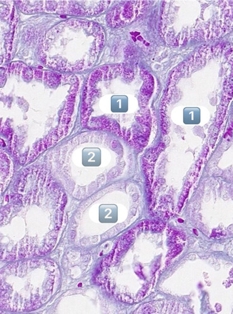<p>2</p>