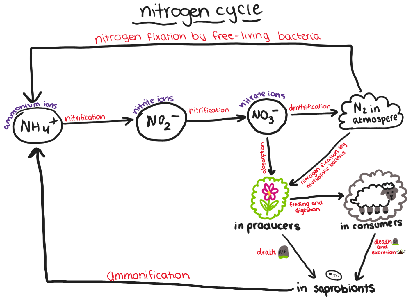 knowt flashcard image