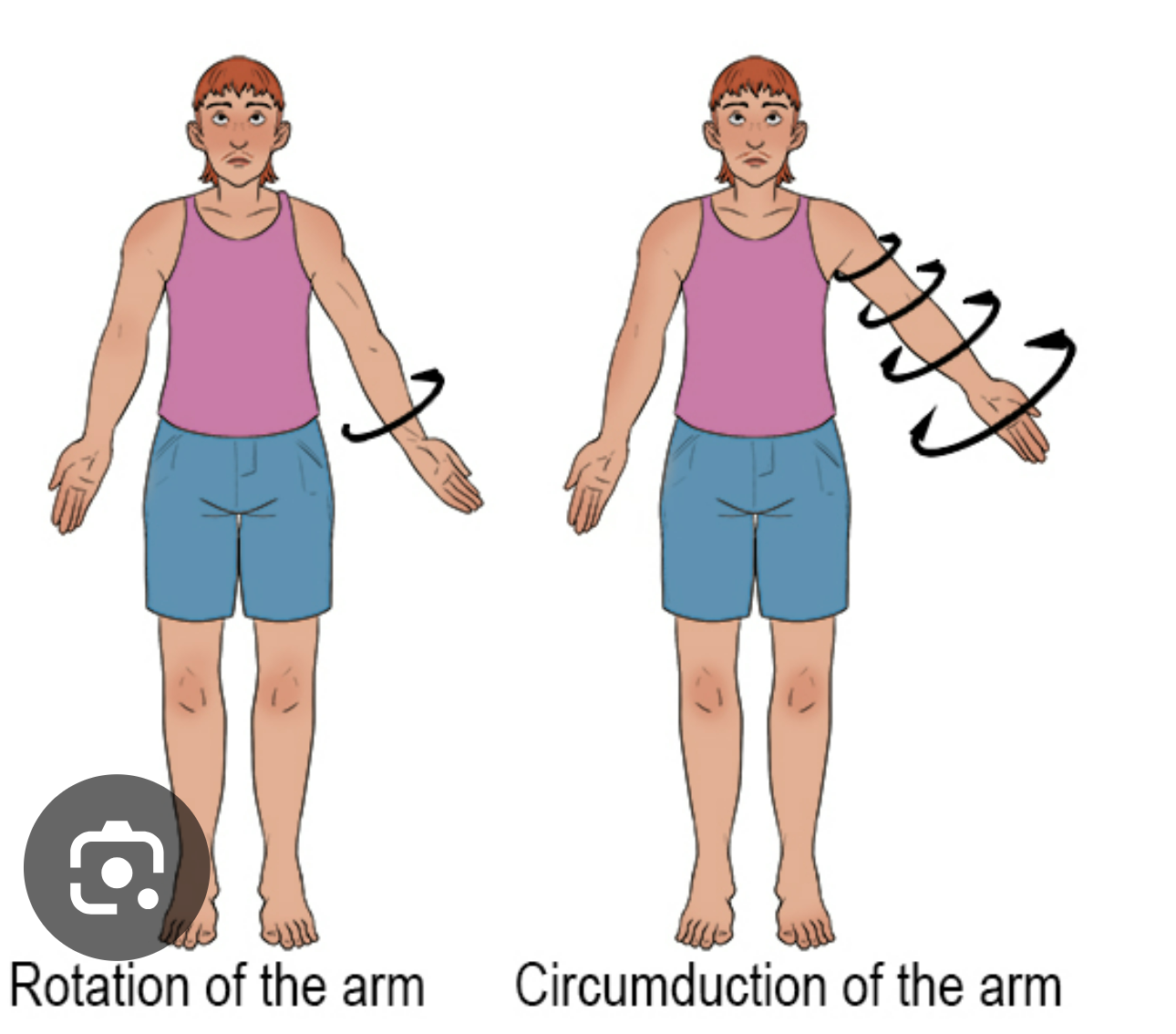 <p>moving a part around its long axis (e.g. screwing a screwdriver)</p>