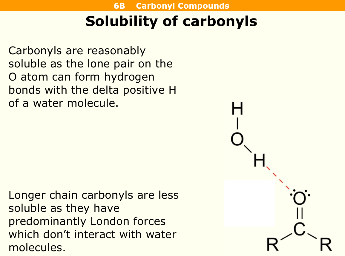 <p>They are reasonably soluble as there is a lone pair on oxygen atom that can form hydrogen bonds </p>