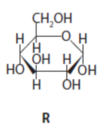 <p>Draw a diagram to show the molecules produced when two molecules of R join together during a condensation reaction.</p>