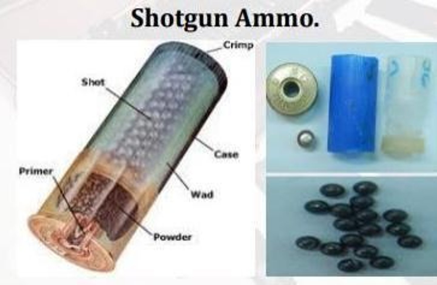 <p>Metallic case holding ammunition components.</p>