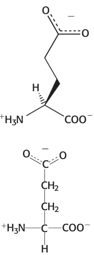 <p>Category: Negatively Charged</p>