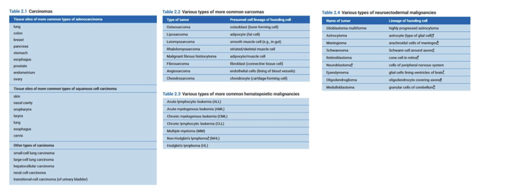 <p><span style="background-color: inherit; line-height: 22px; color: windowtext;"><span>Carcinomas- from epithelial tissues</span></span><span style="line-height: 22px; color: windowtext;"><span>&nbsp;</span></span></p><p class="Paragraph SCXO64660081 BCX0" style="text-align: left;"><span style="background-color: inherit; line-height: 22px; color: windowtext;"><span>Sarcoma- from soft tissue</span></span><span style="line-height: 22px; color: windowtext;"><span>&nbsp;</span></span></p><p class="Paragraph SCXO64660081 BCX0" style="text-align: left;"><span style="background-color: inherit; line-height: 22px; color: windowtext;"><span>Haematological- lymph blood (leukaemia and lymphoma)</span></span><span style="line-height: 22px; color: windowtext;"><span>&nbsp;</span></span></p>