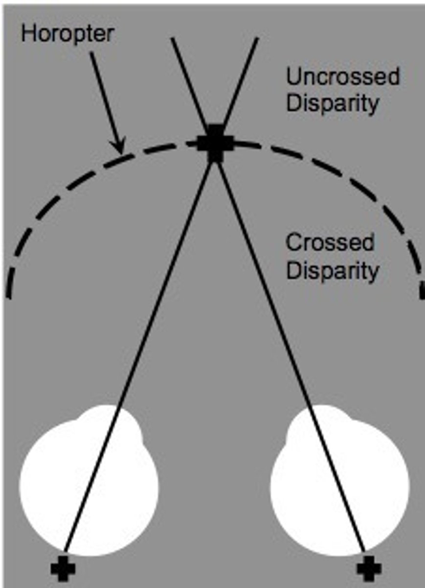 <p>non-horopter points behind the point of fixation have uncrossed disparity, those in front have crossed disparity</p>