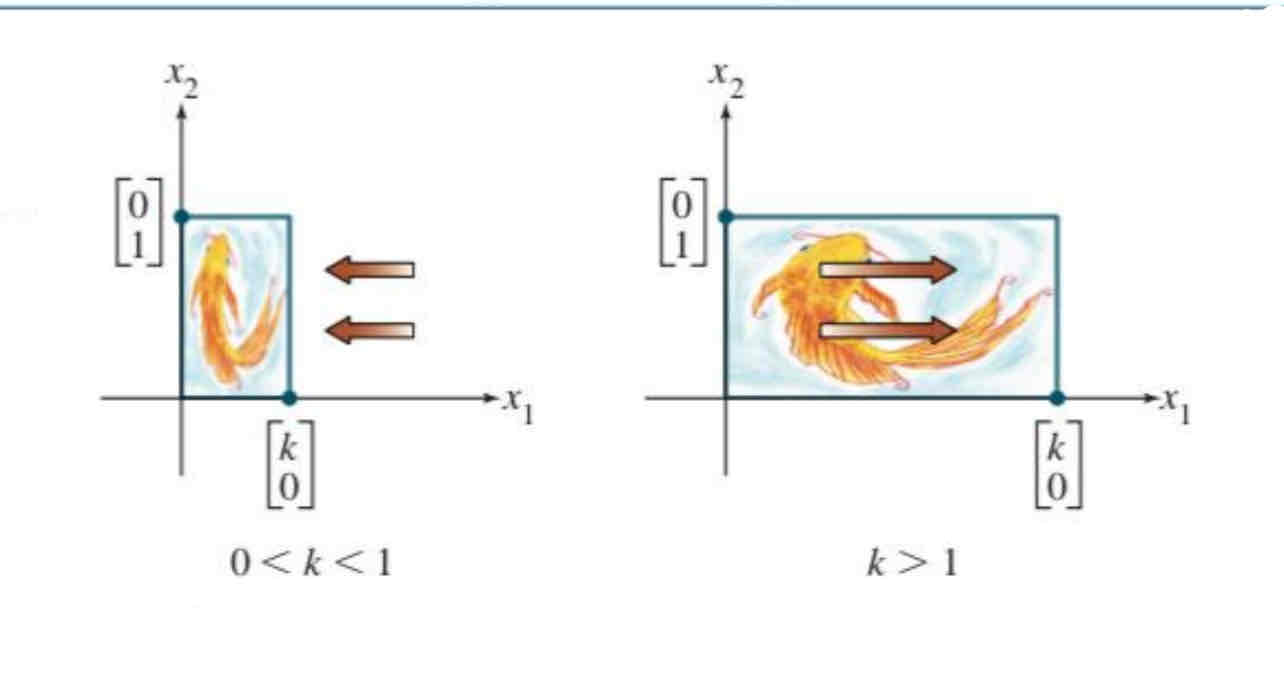 <p>Horizontal contraction and expansion </p>