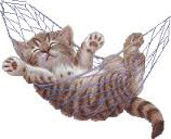 hammock