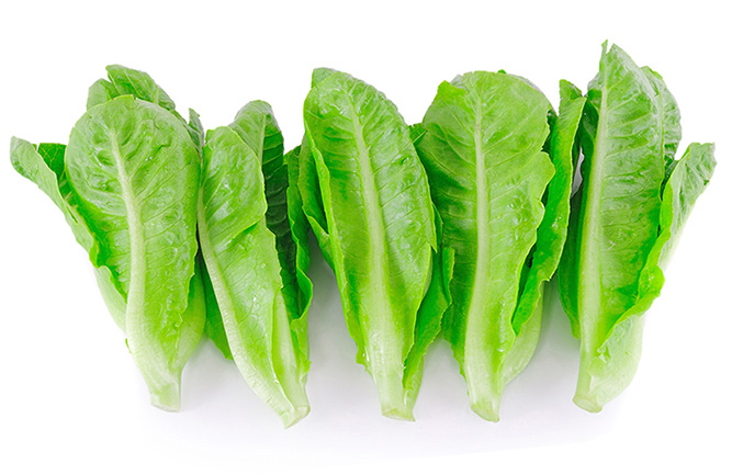 <p>Lettuce</p>