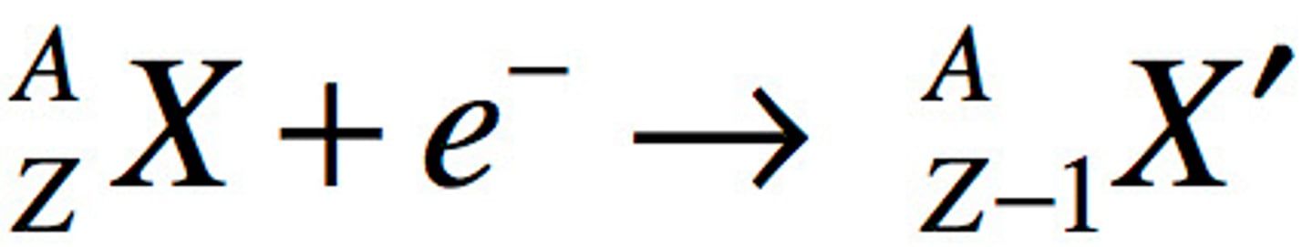 <p>A form of beta decay in which an electron is absorbed by a nucleus and combines with a proton to form a neutron.</p>
