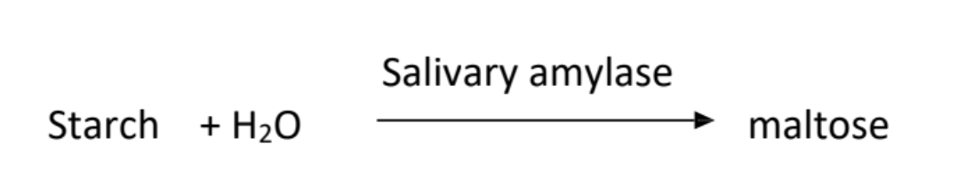 <p>Starch is the substrate, salivary amylase is the enzyme, maltose is a disaccharide and product</p>