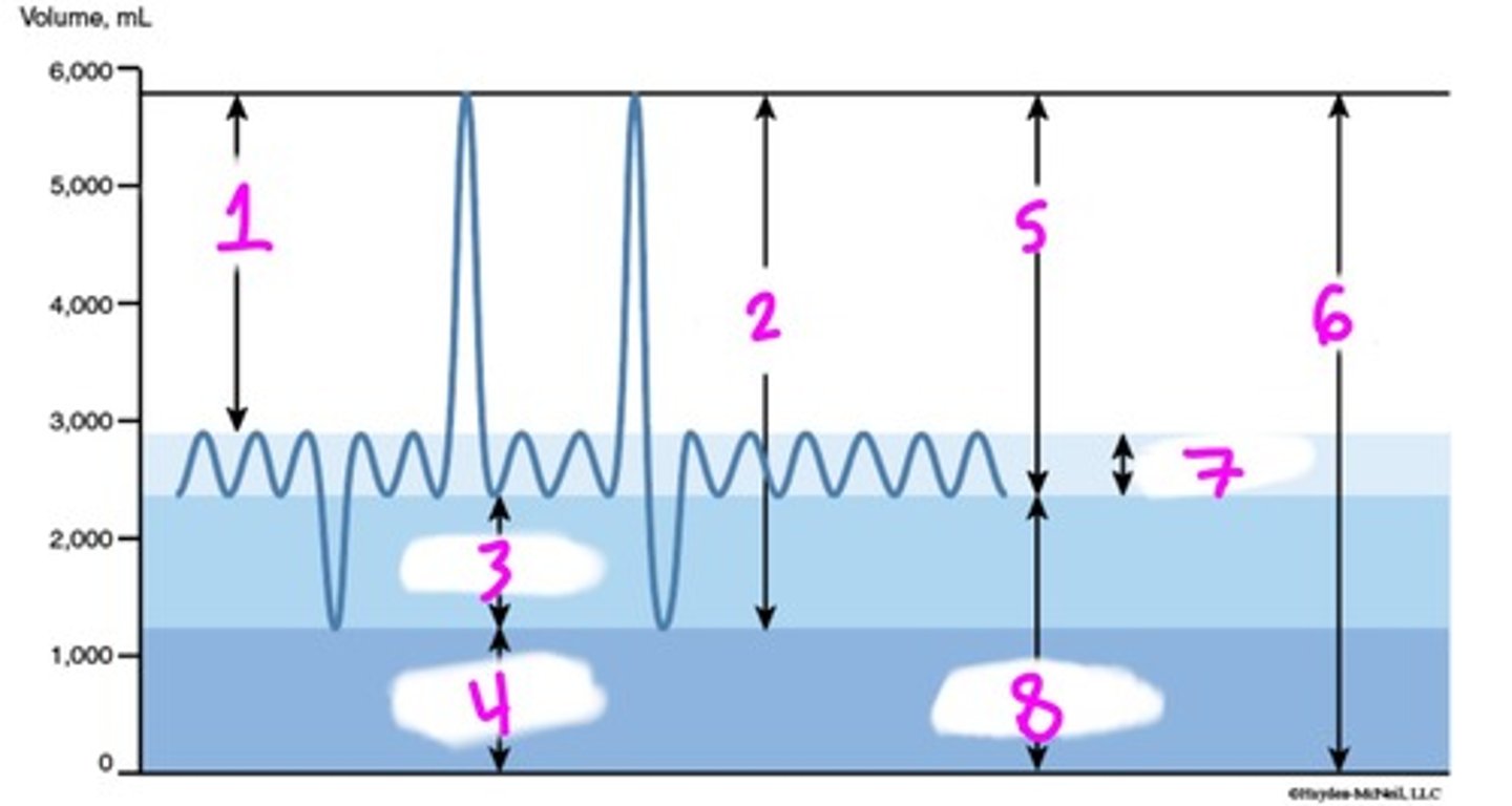 <p>identify wave 2</p>