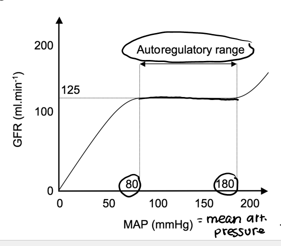 <p>stays pretty constant</p>